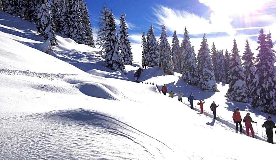 Cavallino Experience - Alpine Wellness Hotel