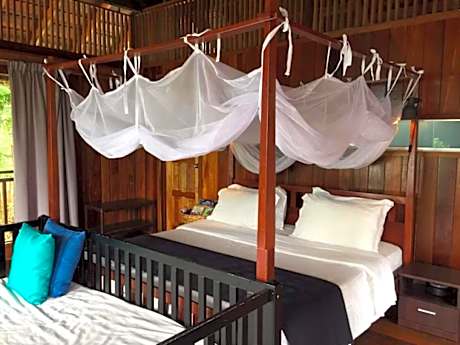 Deluxe Double or Twin Room with Mountain View