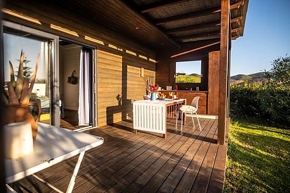 Gato Preto de Silves - Adults Only