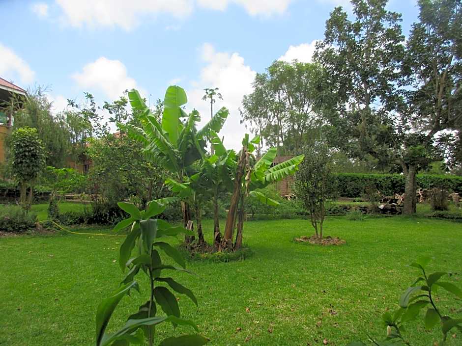 Kilimanjaro Eco Lodge