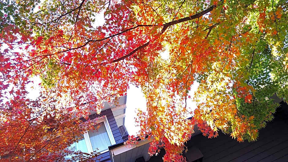 Kyu-Karuizawa Hotel Shinonome