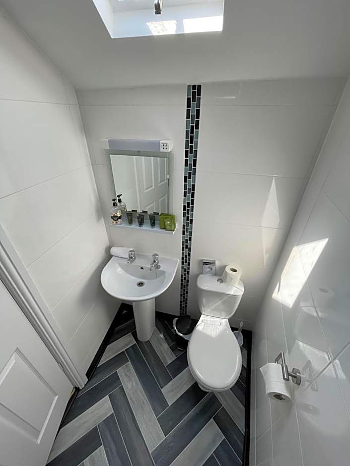 The Whittington & Cat