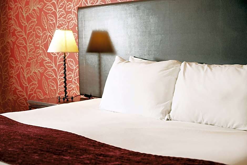 Two Brewers by Chef & Brewer Collection