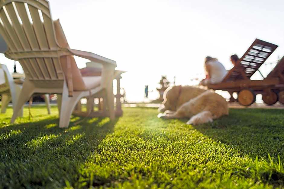 Hotel El Balcon de las nieves