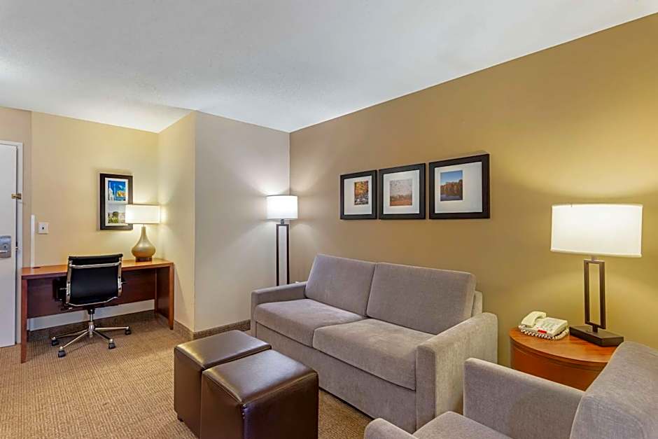 Comfort Inn & Suites Dover near Speedway