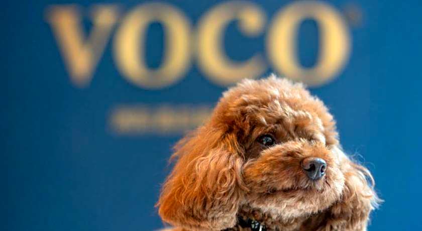 voco Nanjing Garden Expo By IHG