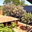 La Betulia Bed and Breakfast