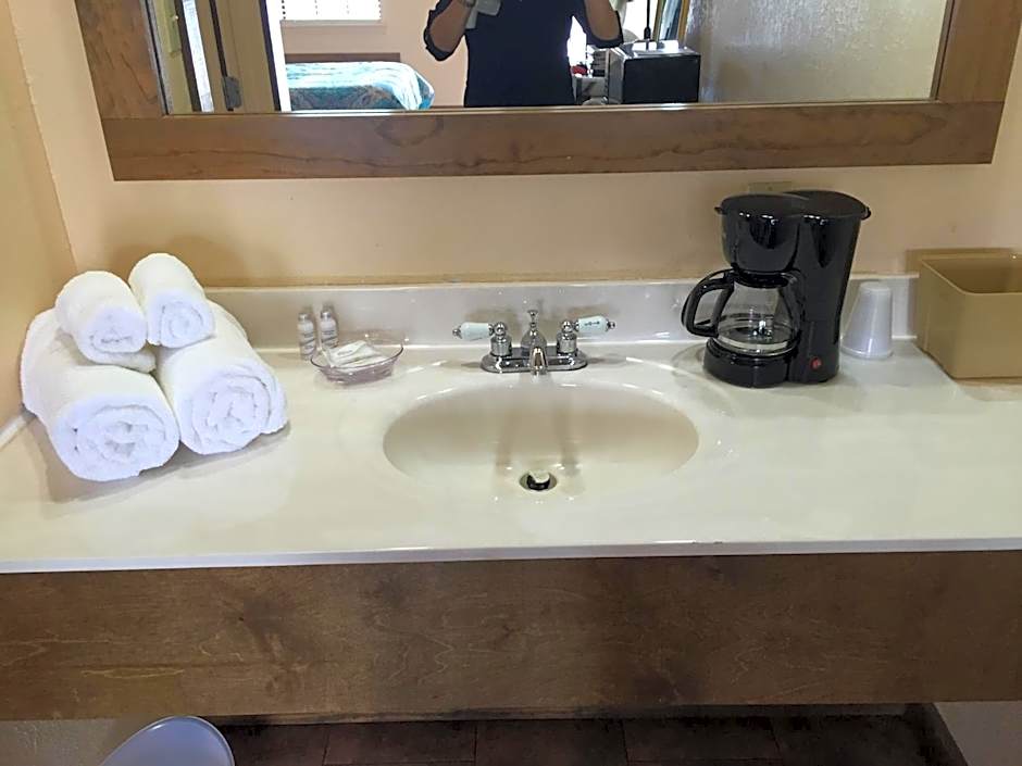 Gators Inn on the Bayou