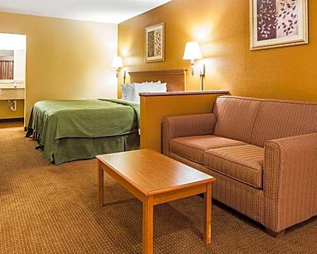 King Suite with Sofa Bed - Non-Smoking