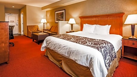suite-1 king bed, non-smoking, sofabed, microwave and refrigerator, wi-fi, full breakfast