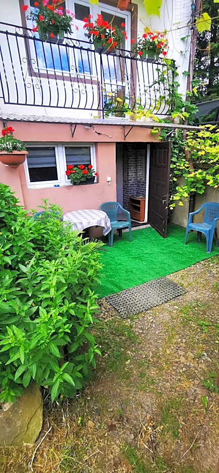 Noclegi "Marfikowe Pole"