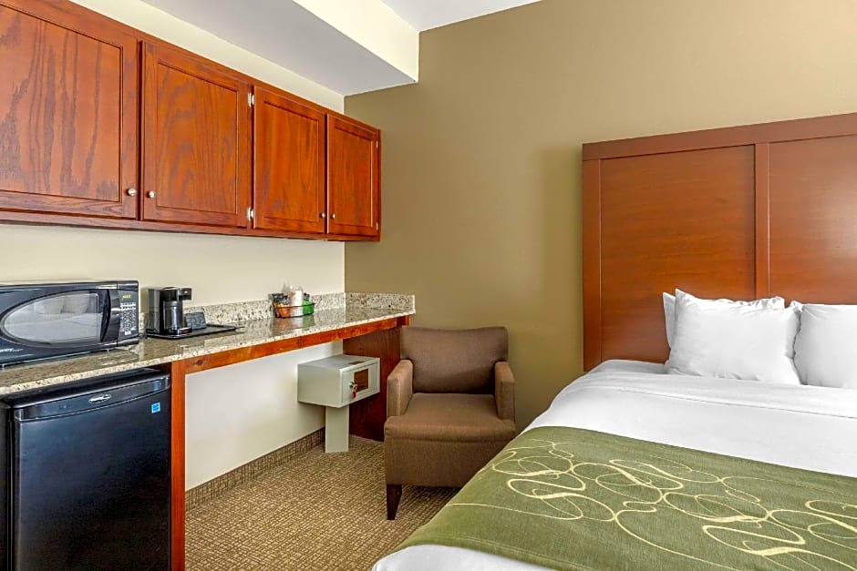 Comfort Suites Johnson City near University