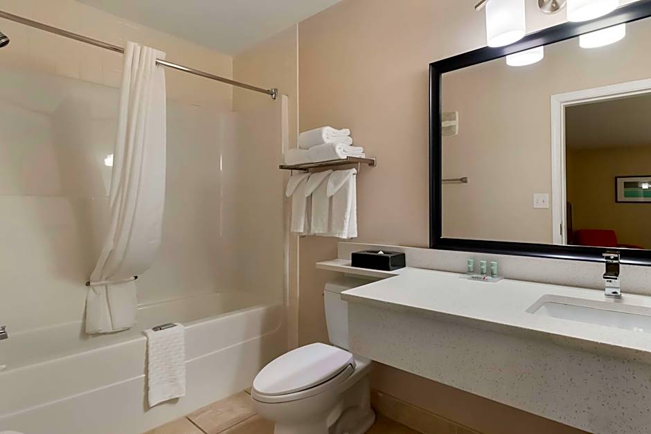 Photo 1 of 10 of 1 Queen Bed, Pet-Friendly, Separate Building
