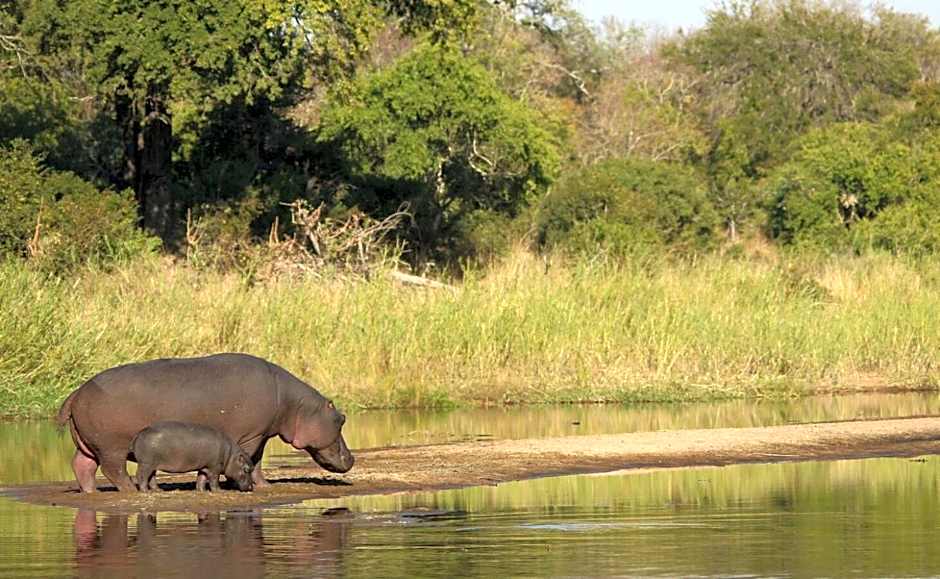 Leopard Hills Private Game Reserve