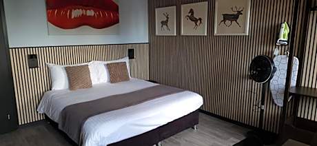 Standard Double Room with Lake View