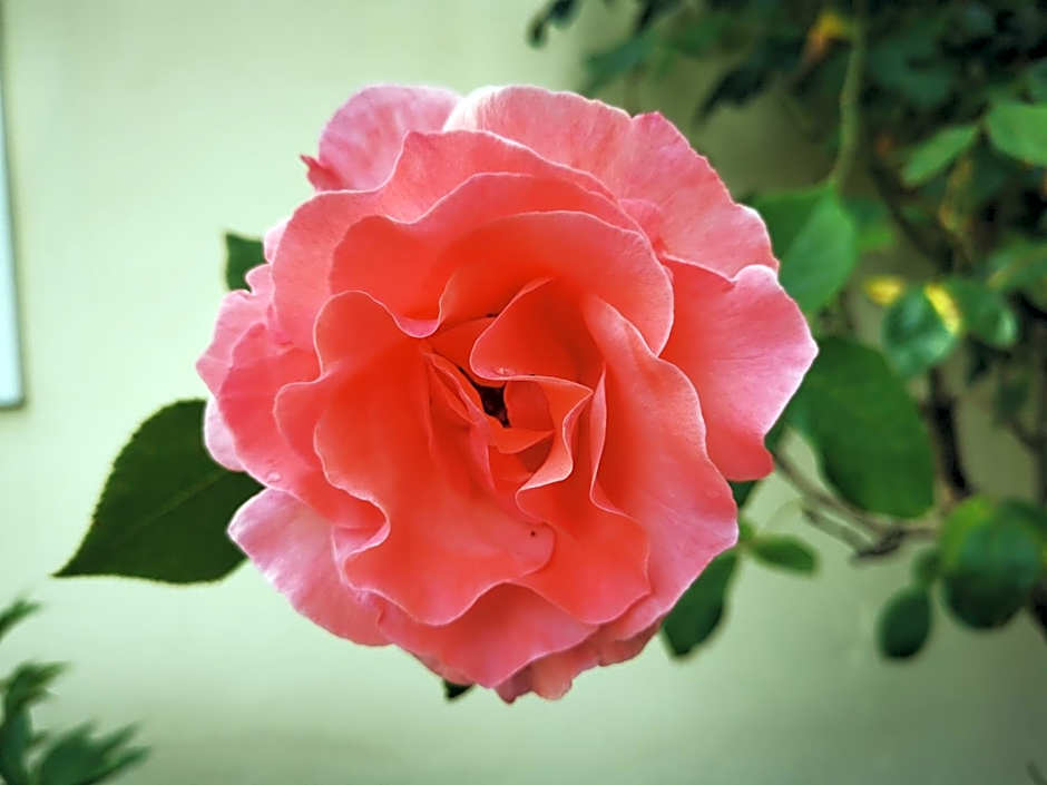 Haus der Begegnung Heilig Geist