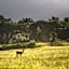 Caracal Lodge