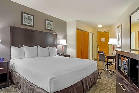 Queen Room - Disability Access/Non-Smoking