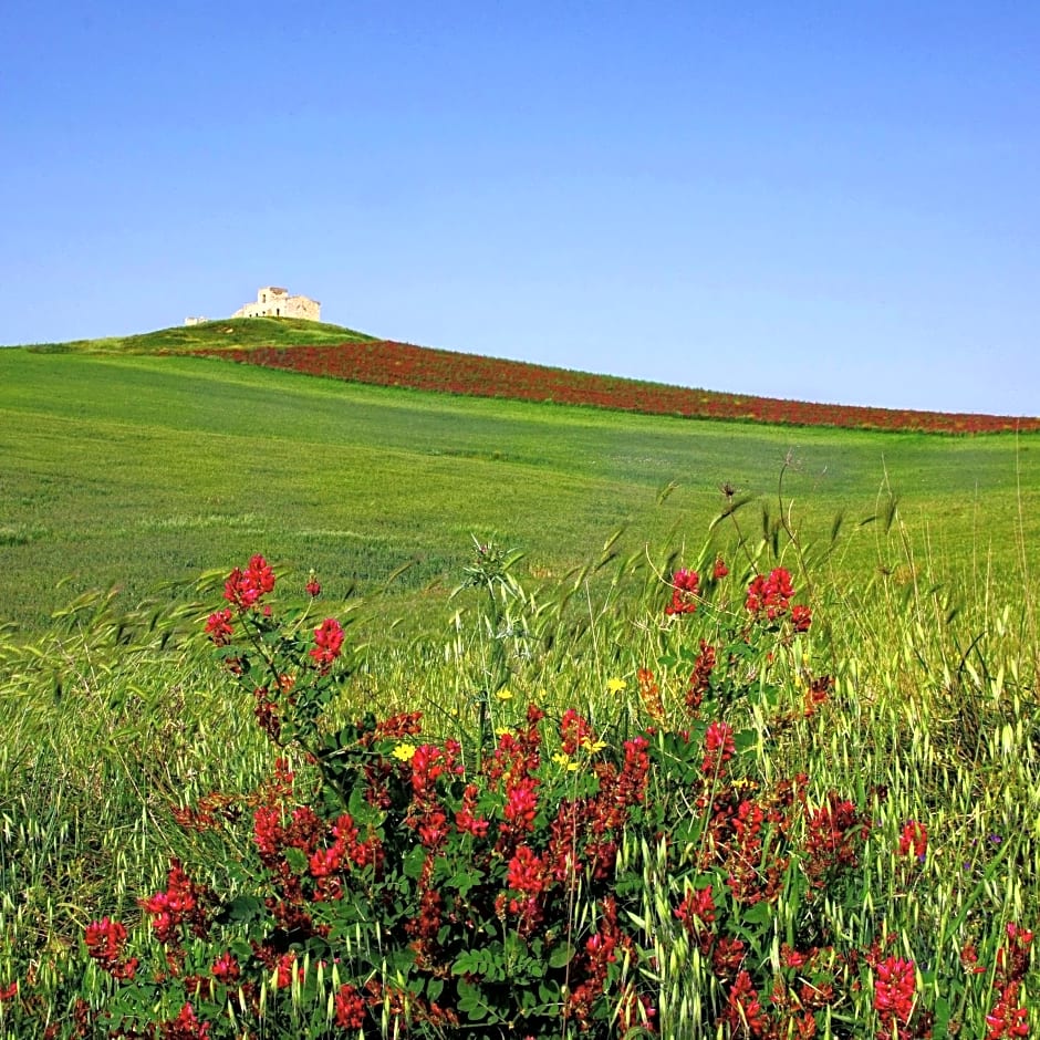 B&B Polvere di stelle