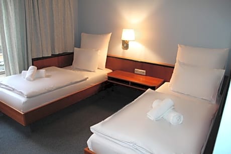 Double or Twin Room with Private Bathroom