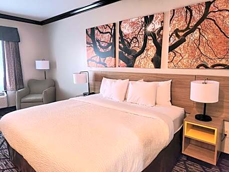 King Room with Mobility/Hearing Access and Bathtub with Grab Bars, Non-Smoking