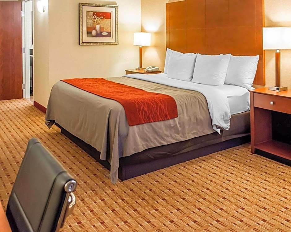 Photo 1 of 7 of 1 King Bed Suite