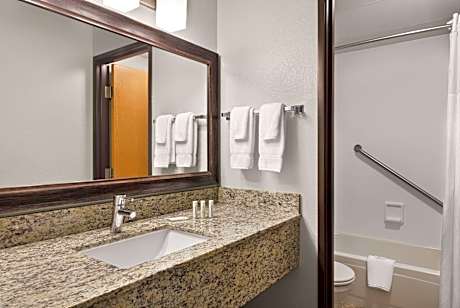 1 King Bed Non-Smoking Suite