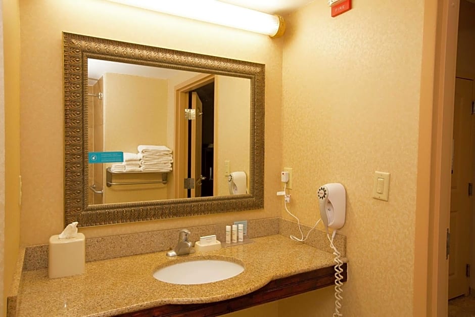 Hampton Inn By Hilton & Suites Houston - Rosenberg