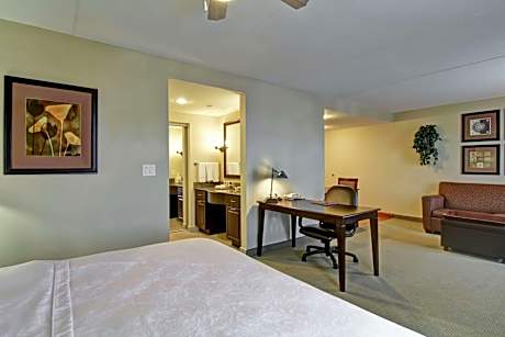 King Studio Suite - Non-Smoking