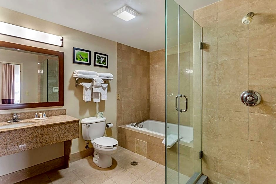 Comfort Suites Southaven I-55