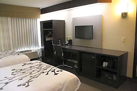 Double Room with Two Double Beds - Non-Smoking