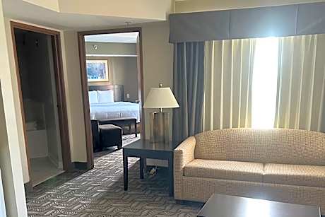 1 King Bed, One-Bedroom Suite, Non-Smoking