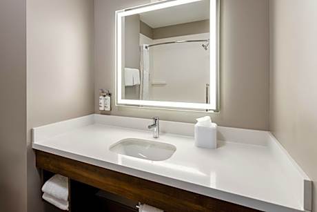 Standard King Room with Mobility Accessible Roll-In Shower