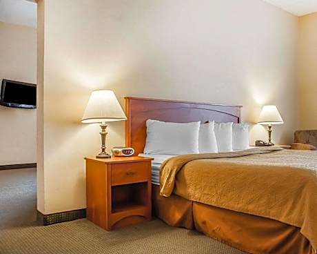 1 King Bed, Suite, Nonsmoking