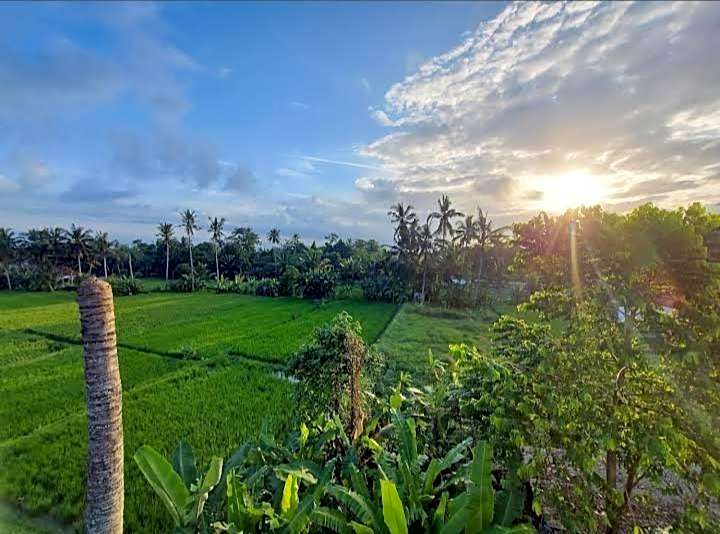 Puri Anyar guest house