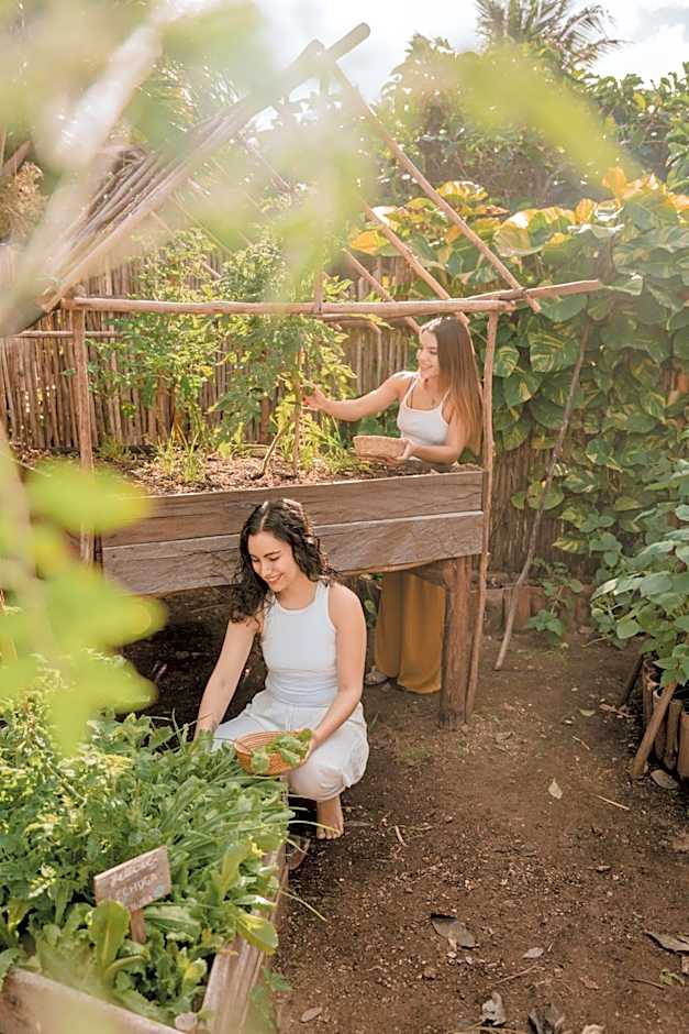 Petit Lafitte Beach Front Hotel & Bungalows