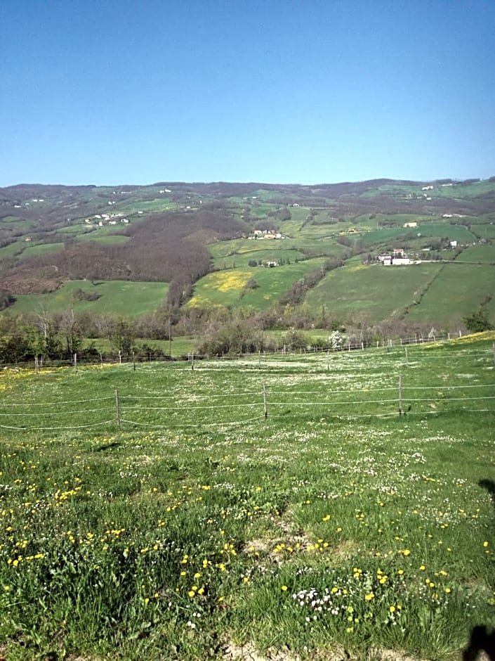 Fattoria Ca' di Fatino