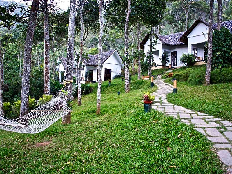 Niraamaya Retreats Cardamom Club
