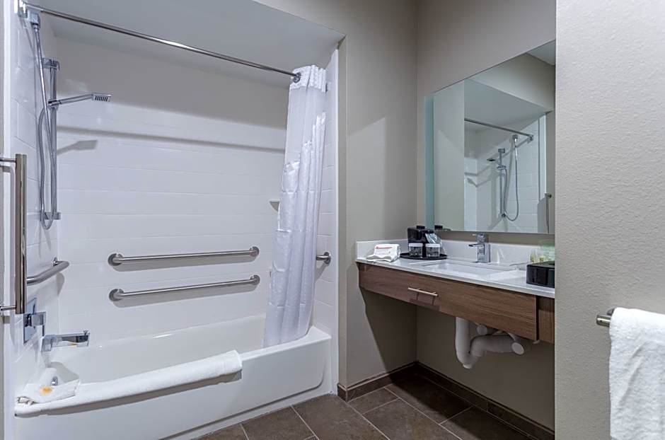 Holiday Inn San Marcos By IHG
