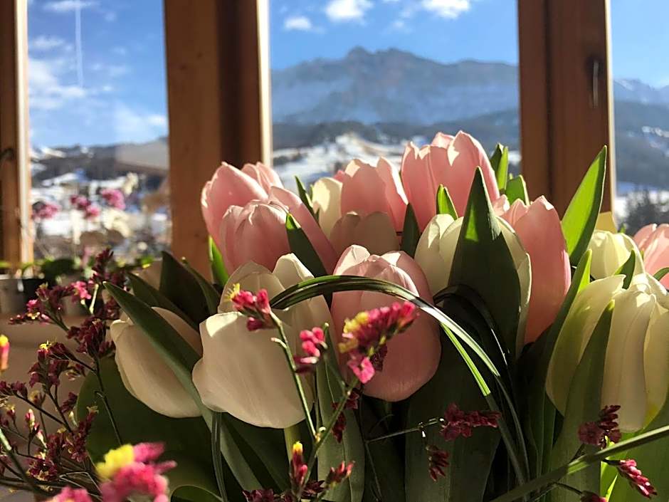 Ciasa Rudiferia Appartamenti in Alta Badia