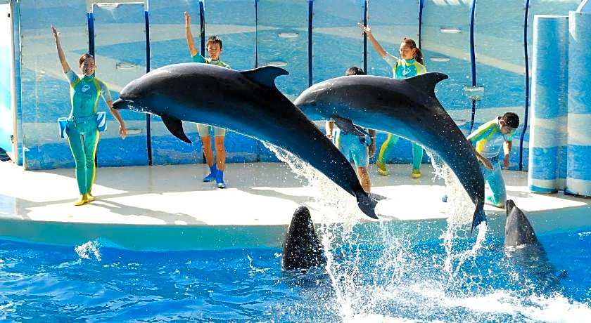 Sotetsu Fresa Inn Kamakura-Ofuna Higashiguchi