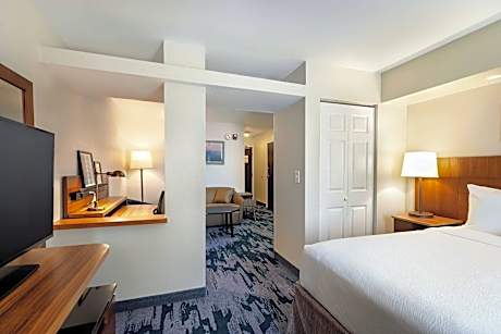Studio, 1 King Bed with Sofa bed (1 King Bed and 1 Double Sofa Bed)