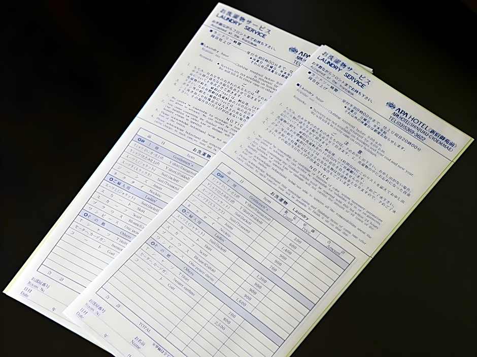 Apa Hotel Tsubamesanjo-Ekimae