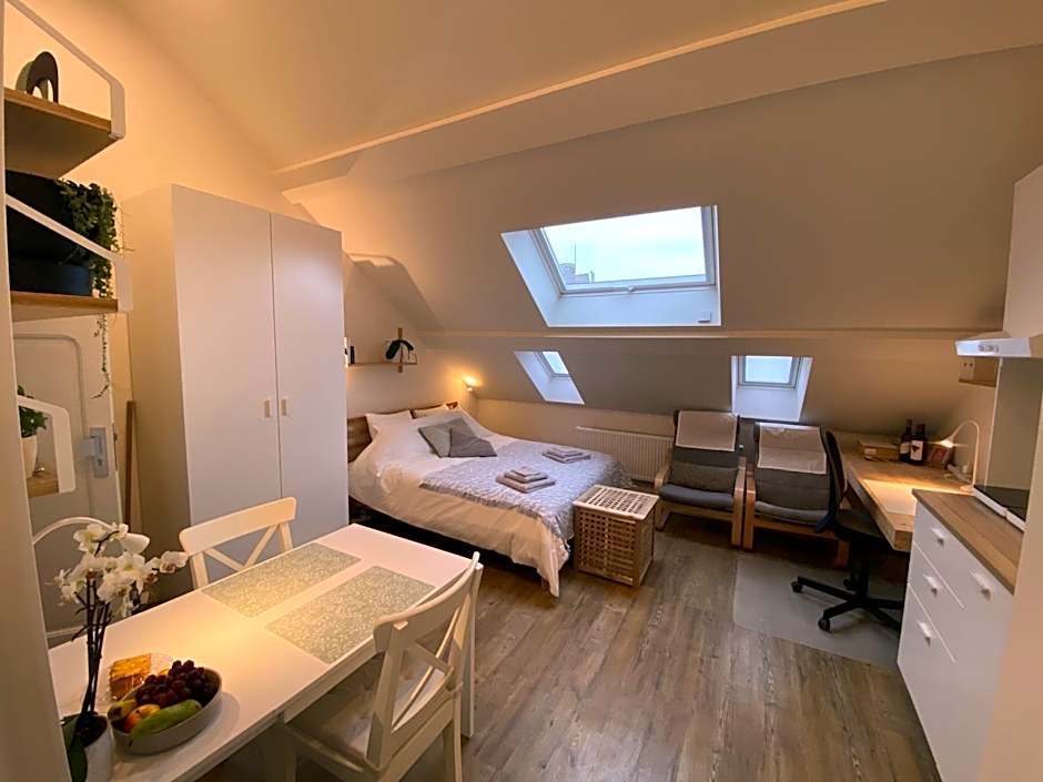 LOGIES-M Comfort Studios Inc Bikes B&B