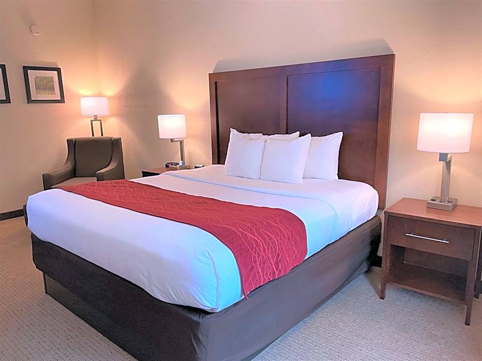 Comfort Inn & Suites Rogersville