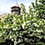 Château du Vigny - Maison d'hôtes