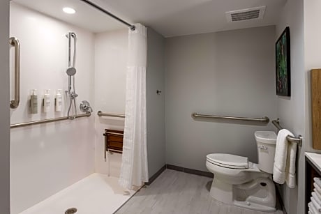 1 King W/ Balcony Mobility Accessible Ri-Shwr