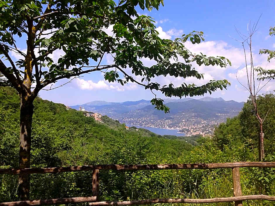 B&B I Glicini