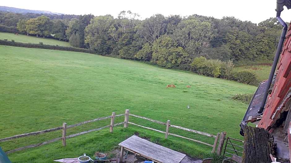 Moaps Farm B&B support small business, welcome, check in from 5 pm