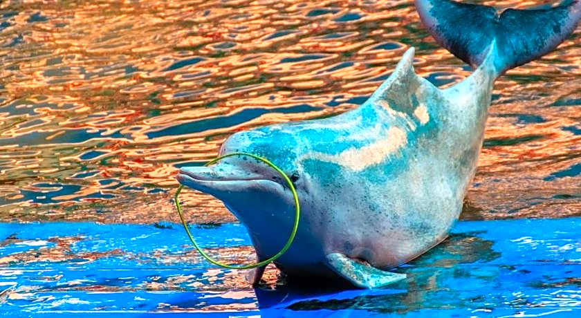 The Pride Hotel At Laemsing